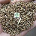 當歸 無硫磺 選 當歸顆粒   產(chǎn)地 甘肅省
