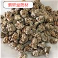 三七 云南文山水洗60头三七/田七 头数标准  产地 云南省