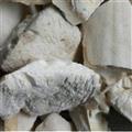 海螵蛸 大统快 产地 广西壮族自治区 国药堂 专注品质