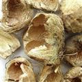 大腹皮 大腹毛 软壳 产地 云南省 国药堂 专注品质
