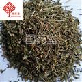 半枝蓮 好統(tǒng)貨 顏色好 產(chǎn)地 河南省 國藥堂 專注品質(zhì)