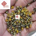 野菊花 野菊花統(tǒng)貨 顏色好 足干 產(chǎn)地 安徽省 國藥堂 專注品質(zhì)