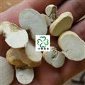 浙贝母 浙贝母选片 颜色好 新货 干度好 产地 浙江省