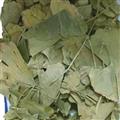 銀杏葉 新貨 顏色好  無(wú)蟲蛀 產(chǎn)地 山東省