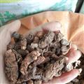 吉康藥業(yè)重樓重樓 七葉一枝花