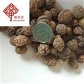 草豆蔻 云南草豆蔻統(tǒng)貨 產(chǎn)地 云南省 國(guó)藥堂 專注品質(zhì)