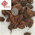 草果 草果統(tǒng)貨 產(chǎn)地 廣西壯族自治區(qū) 國藥堂 專注品質(zhì)