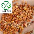 酸枣仁 进口枣仁颗粒饱满 精选  颜色好 无虫蛀 产地 海外