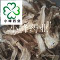 當(dāng)歸 無(wú)硫磺 大一棵樹 過0.3篩子 新貨 顏色好 產(chǎn)地 甘肅省