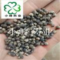 蔓荆子 选货 新货 颜色好  产地 云南省
