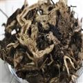 升麻 新貨 顏色好 選貨  產地 黑龍江省
