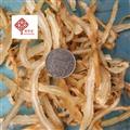 當(dāng)歸 當(dāng)歸選大尾片 產(chǎn)地 甘肅省 國藥堂 專注品質(zhì)
