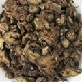 漏蘆 漏蘆統(tǒng)片 產(chǎn)地 黑龍江省 國藥堂 專注品質(zhì)