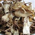 当归 全当归无硫片 产地 甘肃省