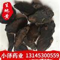 生地黄 生地黄  好统货 产地 河南省