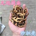 枳殼 精選 炒枳殼 大枳殼 厚 產地 湖南省