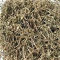 白花蛇舌草 新货 国药堂 专注品质 产地 江西省