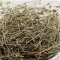 小麗百草行 漆菇草 漆姑草 牛毛粘 沙子
