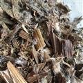 中藥材狗舌草 狗舌頭草 白火丹草 銅交杯 糯米青 銅盤一枝香
