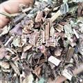 石见穿 正品 实物拍摄 国药堂 专注品质 产地 湖北省