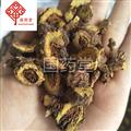 黃芩 選野生枯黃芩 國藥堂 專注品質(zhì) 產(chǎn)地 內(nèi)蒙古自治區(qū)