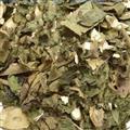 小丽百草行  广东紫珠 紫珠草 紫珠柴