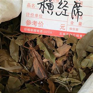 小丽百草行 横经席 梳篦王 跌大将军 _中药材诚实通
