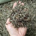 广西壮乡中草药 野生 全株 艾草 艾叶（带杆） 小叶艾叶 统货 产地 广西柳州