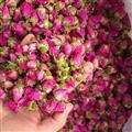 玫瑰花 山東平陰玫瑰  無(wú)硫磺玫瑰 產(chǎn)地 山東省