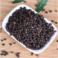 黑胡椒 统 产地 海南省  今年新货 无虫蛀无霉变 味道浓郁 可提供打粉