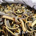 川黃柏 統(tǒng) 產(chǎn)地 四川省雅安市