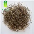 白花蛇舌草 蛇舌草統(tǒng)貨 四川蛇舌草 羊須草 蛇總管