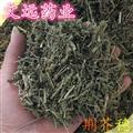 荊芥穗 荊芥穗次統(tǒng)貨 切片 產(chǎn)地 河南省