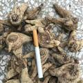 白芨 白芨大統(tǒng)個(gè) 產(chǎn)地 湖北省 500g/袋