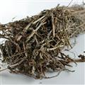 馬鞭草 統(tǒng)貨 產(chǎn)地 河南省