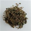 豨薟草 統(tǒng)貨 產地 河南省