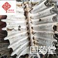 鱉甲 新貨 凈貨 純干貨 量大從優(yōu) 產(chǎn)地直銷 產(chǎn)地 山東省