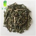 穿心蓮 統(tǒng)貨 產地 河南省
