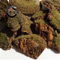 靈芝 野生松針層孔菌 野生靈芝藥典標準 地道良藥館1000克直銷 品種齊全 一站購齊