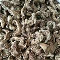 白芨 白及統(tǒng)個 正品三叉白芨 純正品 無硫磺小個   產(chǎn)地 云南省