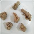 三七 三七60头 水洗纯干产地 云南省