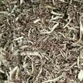 当归 当归股子片 产地 甘肃省