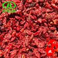 世元药业 山茱萸 山萸肉 山芋肉 肉枣 鸡足  药枣 天木籽 实枣儿 蜀枣 鬾实 鼠矢 枣皮