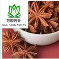 精品选装一级八角茴香 大茴香 规格齐全   产地 广西壮族自治区