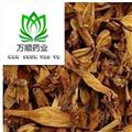 凌霄花选货  新货 无虫蛀无霉变  万顺药业 规格齐全   产地 安徽省
