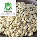 單邊冬瓜子選貨 新貨 顏色好 質(zhì)量好 價格低 規(guī)格齊全  產(chǎn)地 山東省