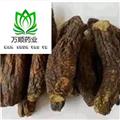 大個(gè)肉蓯蓉選貨，  質(zhì)量好 價(jià)格低 規(guī)格齊全   產(chǎn)地 新疆維吾爾自治區(qū)