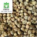 精品覆盆子選貨 質(zhì)量好 價(jià)格低 規(guī)格齊全  產(chǎn)地 四川省