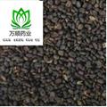 补骨脂饱满选货 质量好 价格低 产地 广西壮族自治区