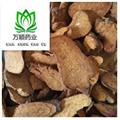 精品河北炒白術好統(tǒng)貨 質量好 價格低  產地直銷 產地 河北省